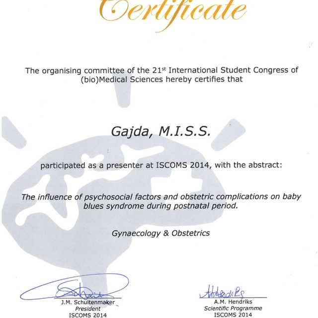 Powiększ obraz: certificate 43