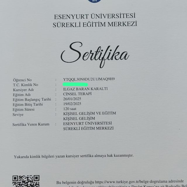 Resmi büyüt: certificate 12