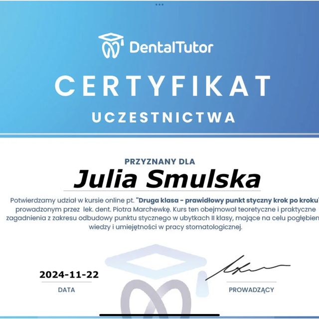 Powiększ obraz: certificate 2