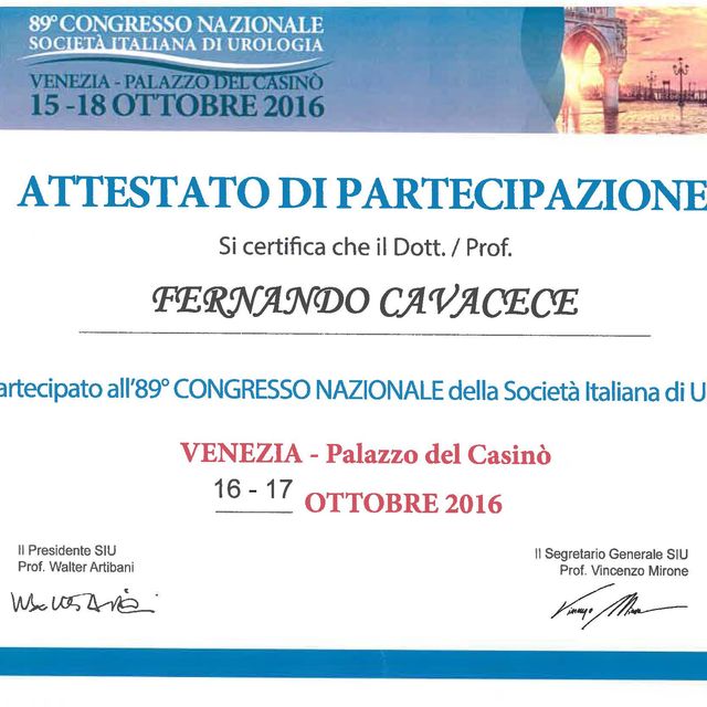 Ingrandire l'immagine: certificate 52