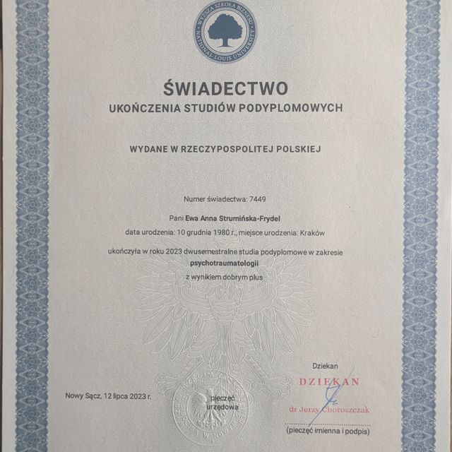 Powiększ obraz: certificate 2