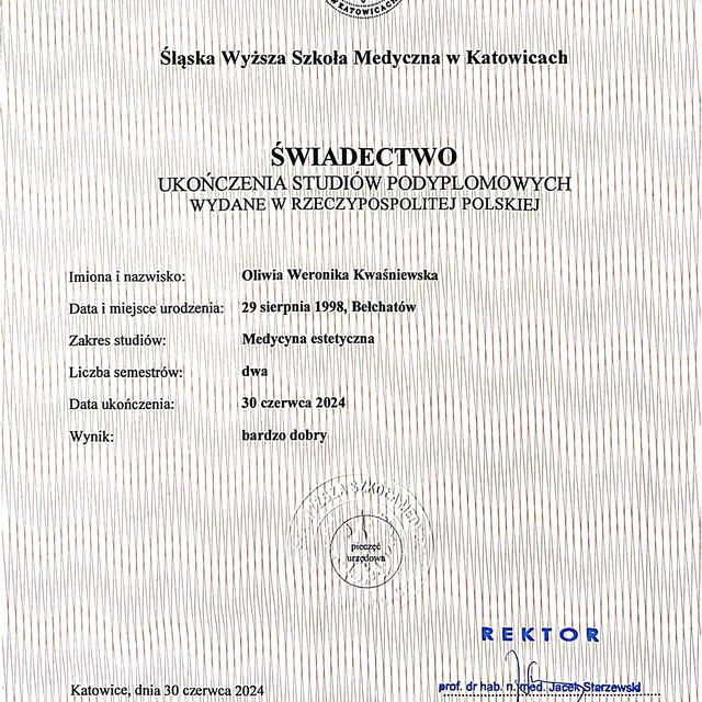Powiększ obraz: certificate 1