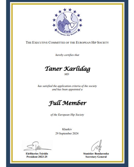 Resmi büyüt: certificate 1