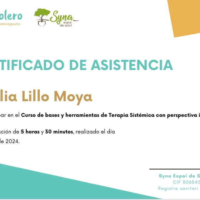 Acercar imagen: certificate 27