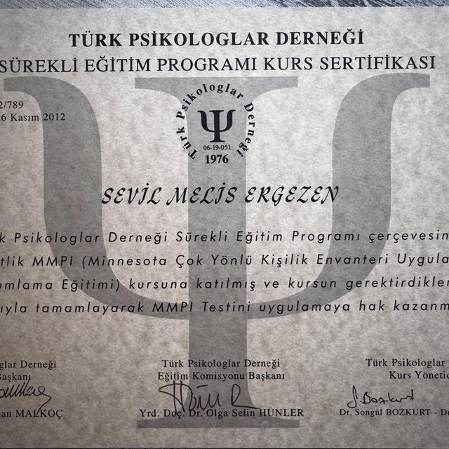 Resmi büyüt: certificate 6
