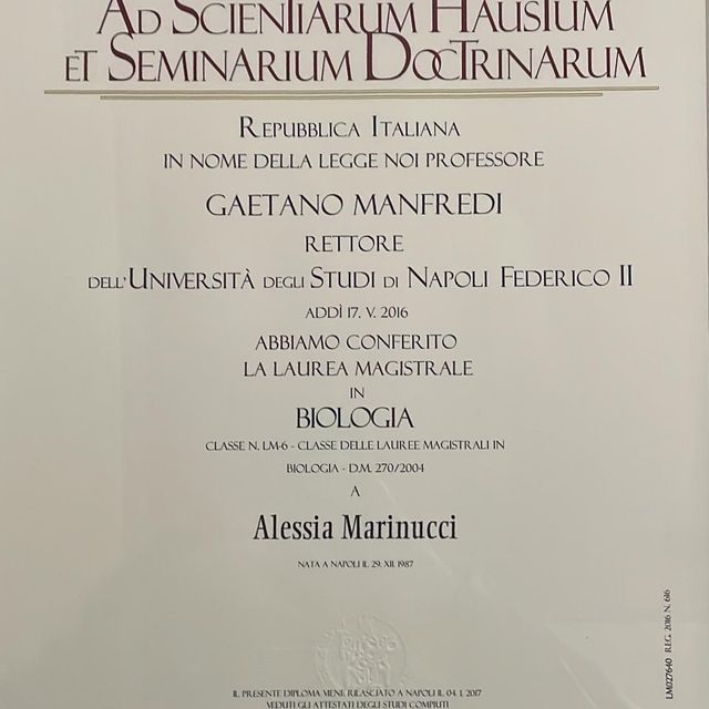 Ingrandire l'immagine: certificate 1