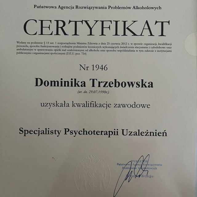Powiększ obraz: certificate 2