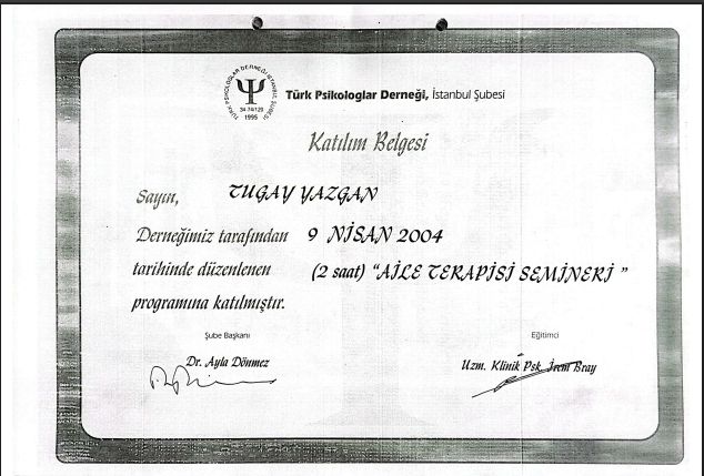 Resmi büyüt: certificate 19