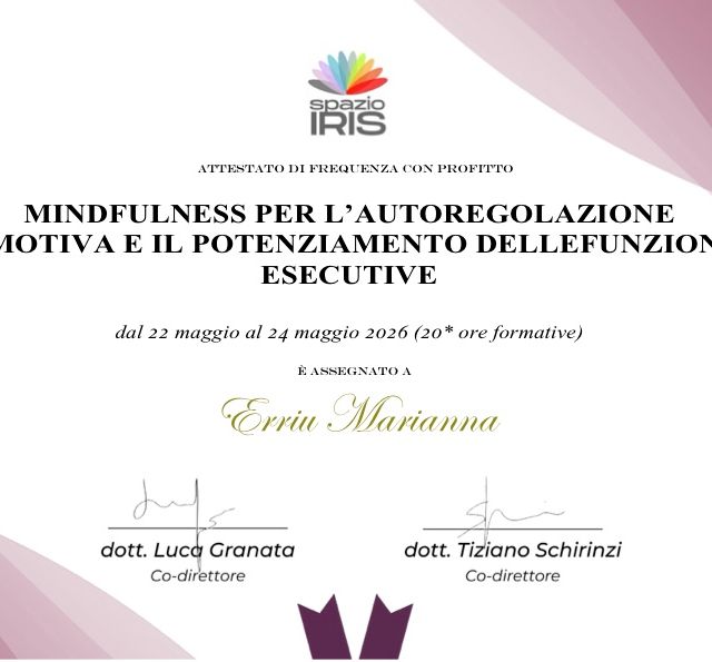 Ingrandire l'immagine: certificate 11