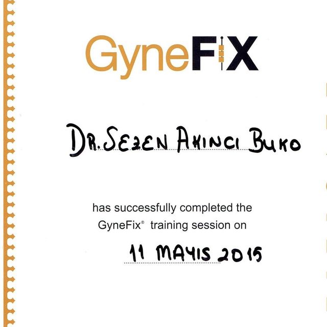 Resmi büyüt: certificate 1