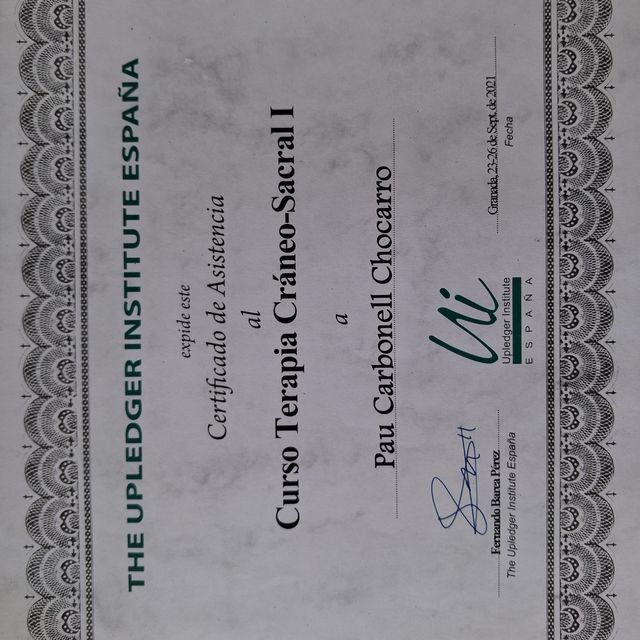 Acercar imagen: certificate 4