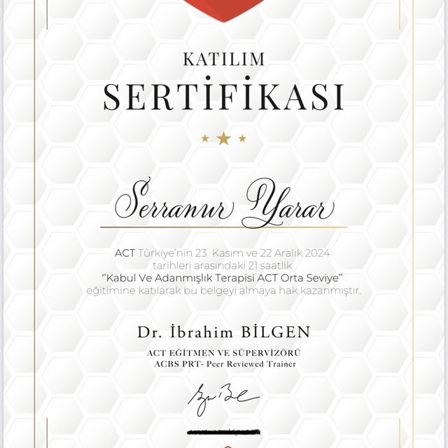 Resmi büyüt: certificate 3