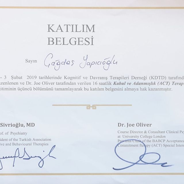 Resmi büyüt: certificate 4