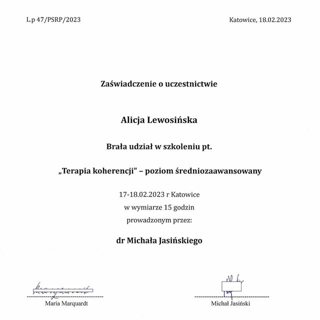 Powiększ obraz: certificate 5