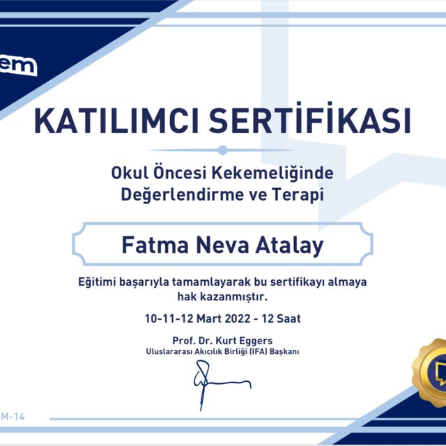 Resmi büyüt: certificate 13