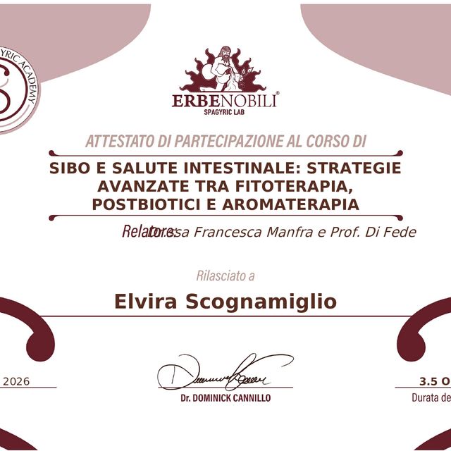 Ingrandire l'immagine: certificate 4