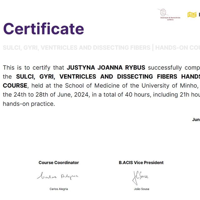 Powiększ obraz: certificate 2