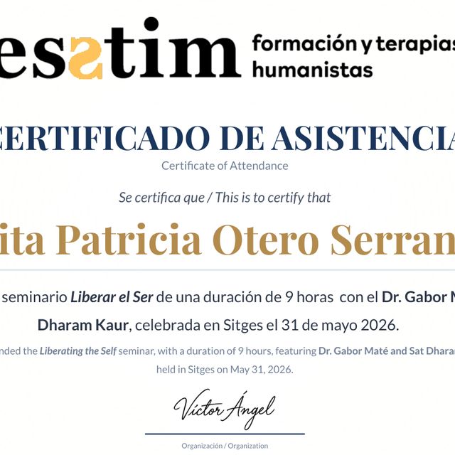 Acercar imagen: certificate 17