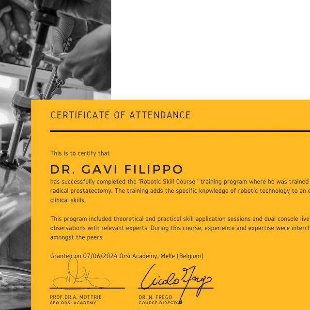 Ingrandire l'immagine: certificate 1