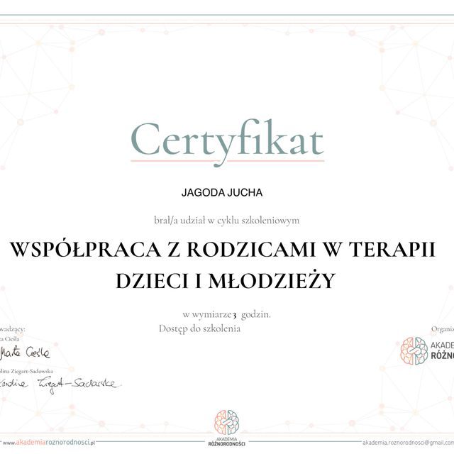 Powiększ obraz: certificate 5