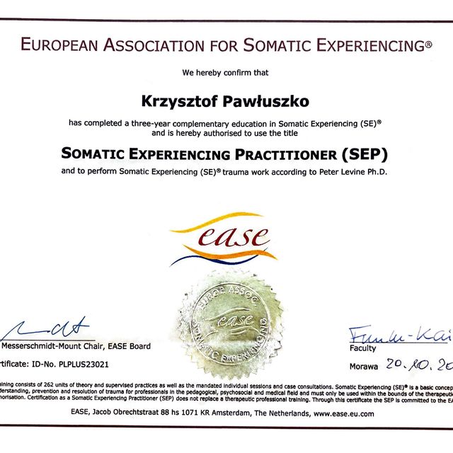 Powiększ obraz: certificate 5
