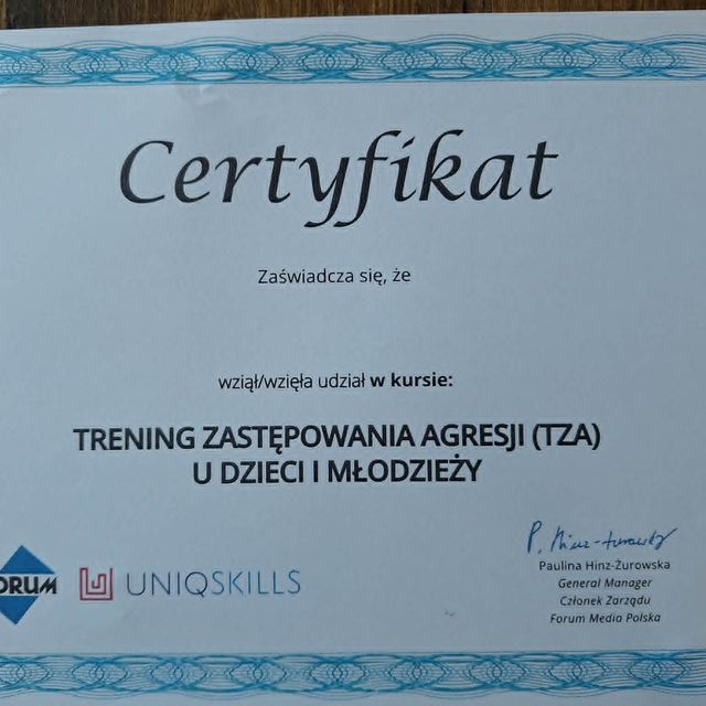 Powiększ obraz: certificate 2