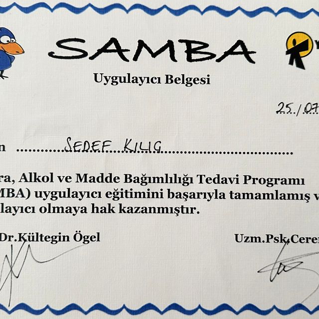 Resmi büyüt: certificate 1