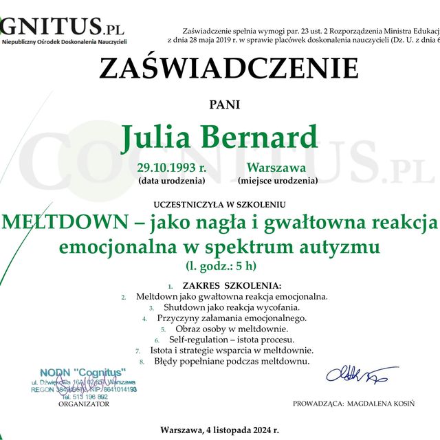 Powiększ obraz: certificate 7