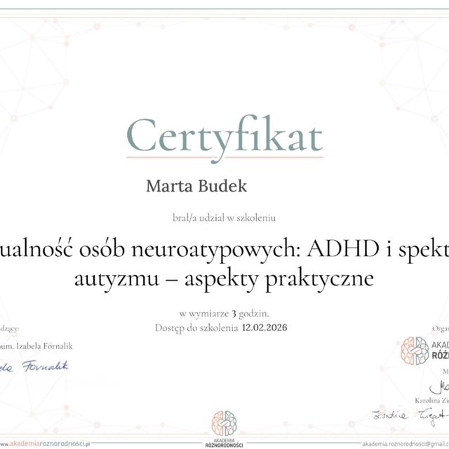 Powiększ obraz: certificate 14