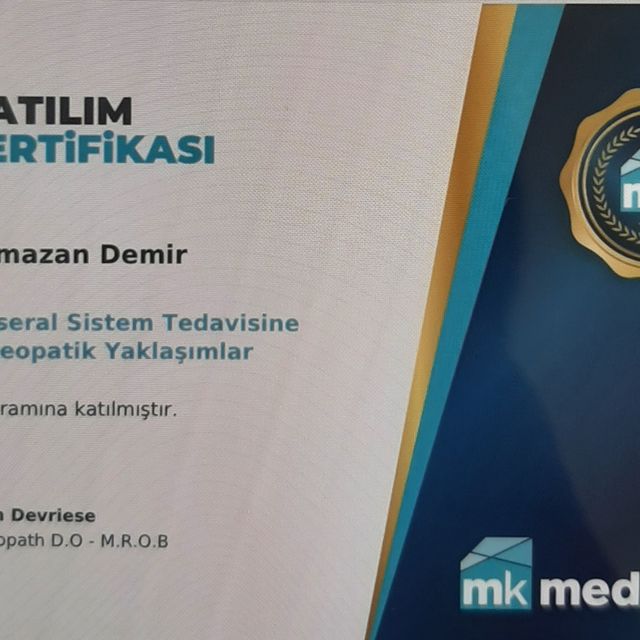 Resmi büyüt: certificate 19