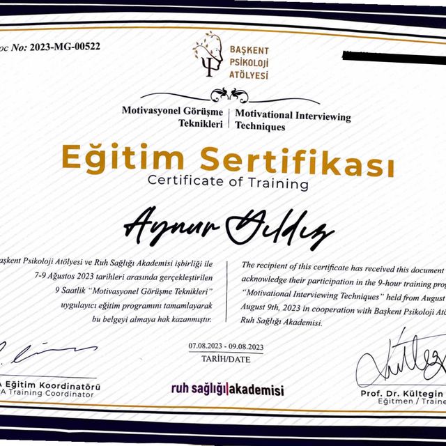 Resmi büyüt: certificate 31