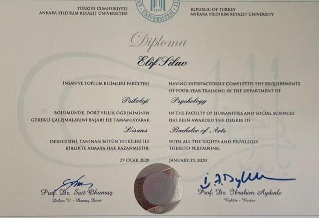 Resmi büyüt: certificate 14