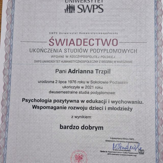 Powiększ obraz: certificate 2