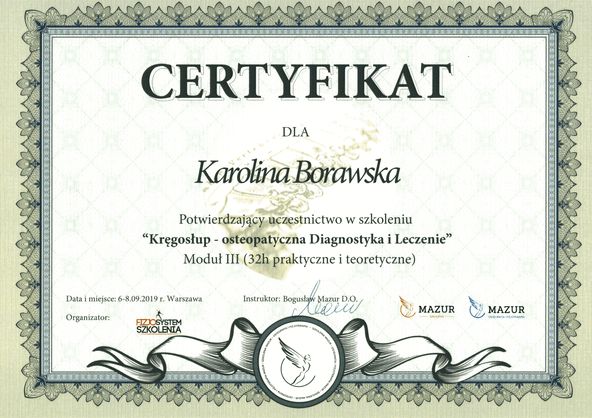 Powiększ obraz: certificate 4