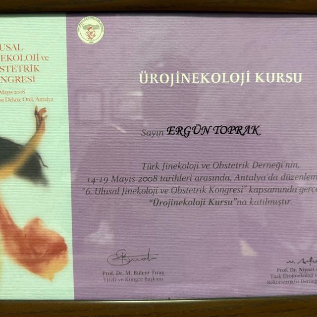 Resmi büyüt: certificate 23