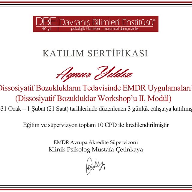 Resmi büyüt: certificate 39