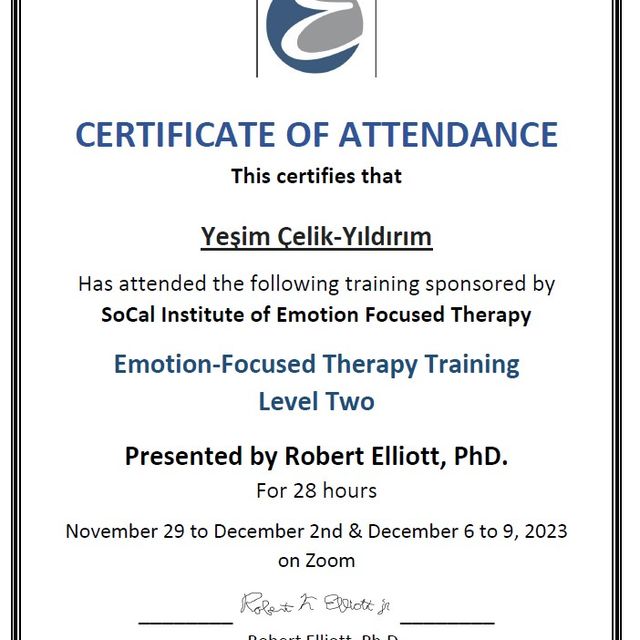 Resmi büyüt: certificate 10