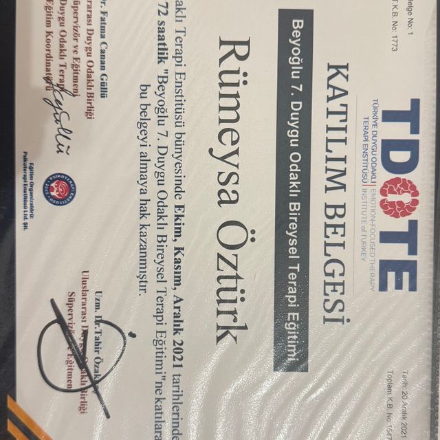 Resmi büyüt: certificate 2