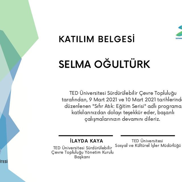 Resmi büyüt: certificate 6