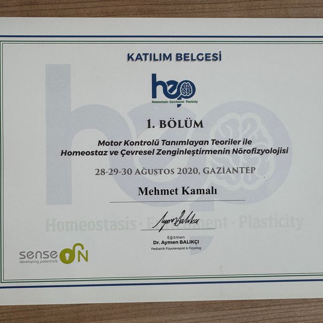 Resmi büyüt: certificate 4