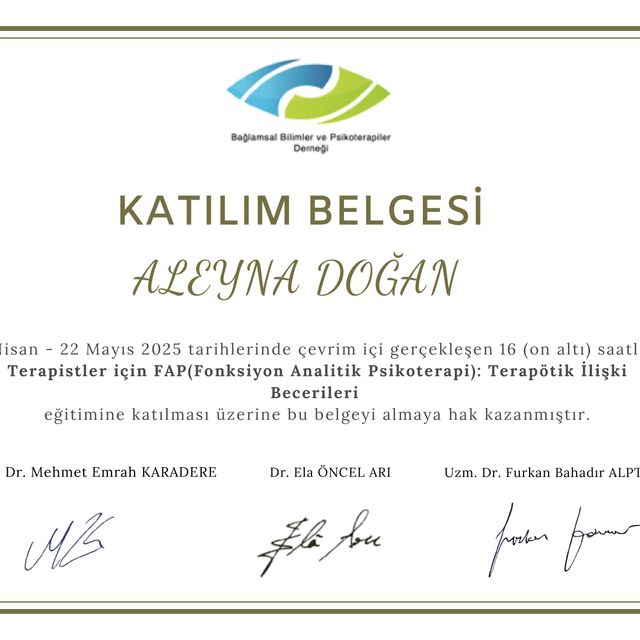 Resmi büyüt: certificate 2