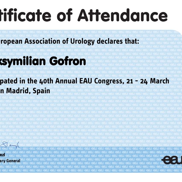 Powiększ obraz: certificate 8