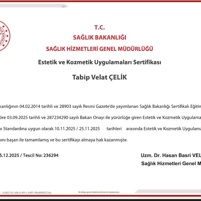 Resmi büyüt: certificate 1