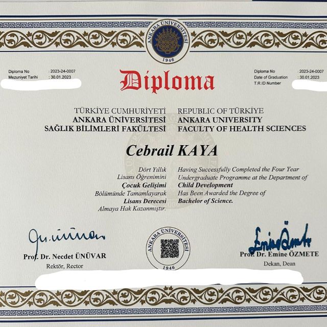 Resmi büyüt: certificate 2