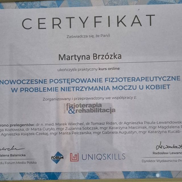 Powiększ obraz: certificate 10