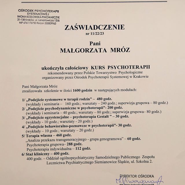 Powiększ obraz: certificate 1