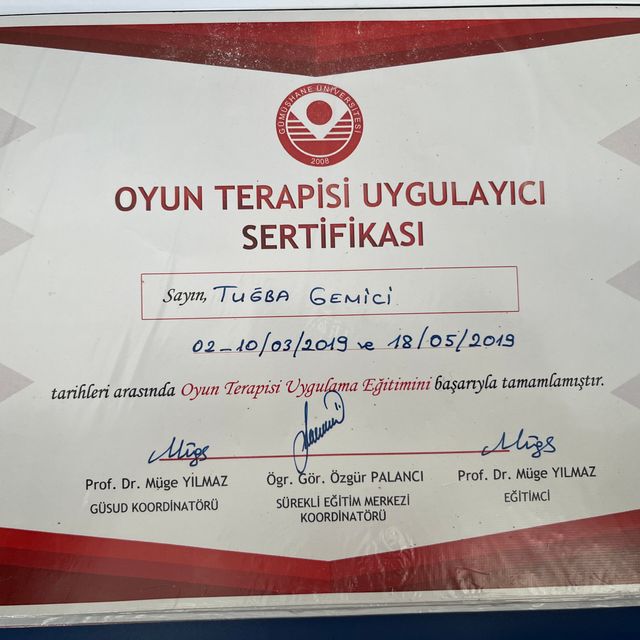 Resmi büyüt: certificate 3