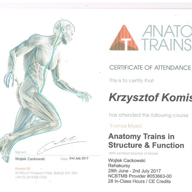 Powiększ obraz: certificate 16