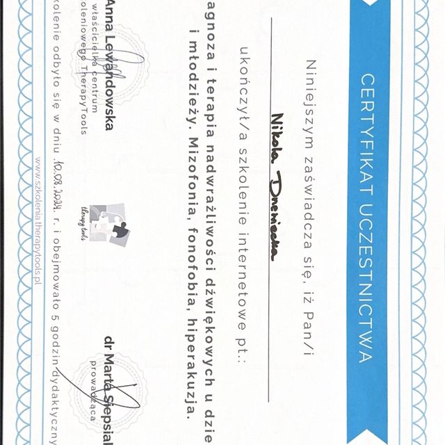 Powiększ obraz: certificate 2