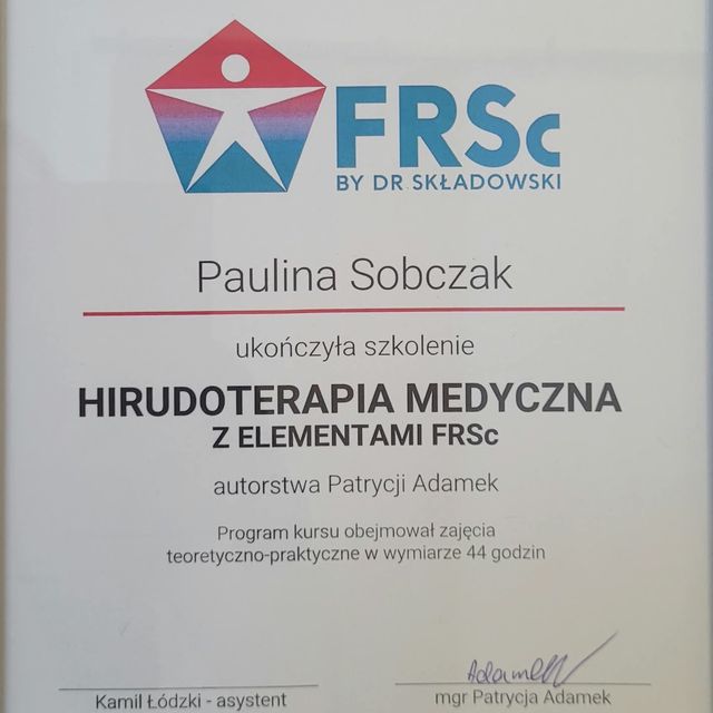 Powiększ obraz: certificate 2
